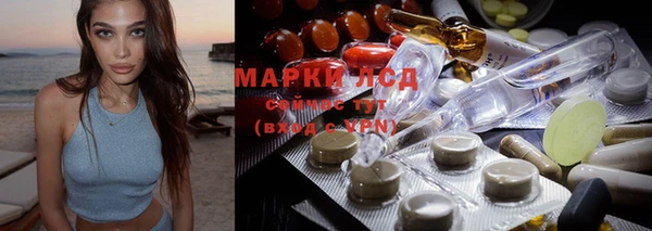 молекула духа Козельск