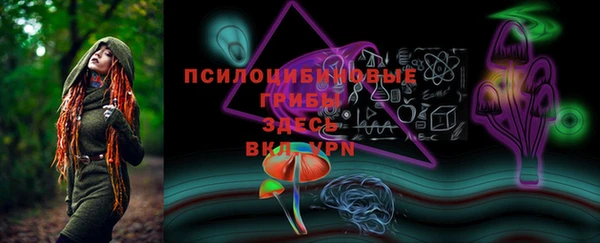 крисы Кодинск