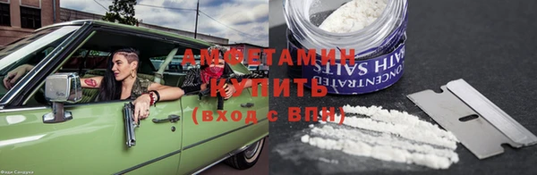 молекула духа Козельск