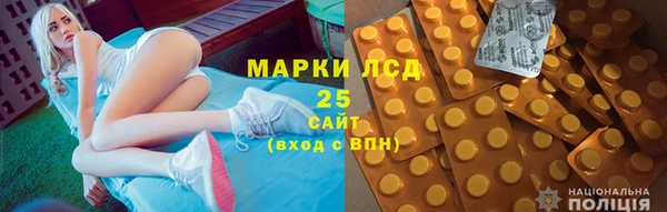 молекула духа Козельск