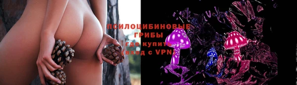 мяу мяу мука Козловка