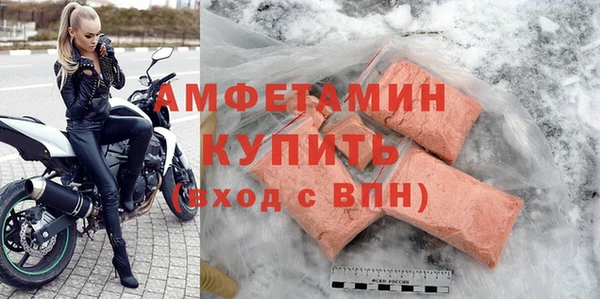 молекула духа Козельск