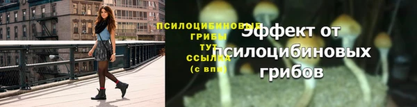 мяу мяу мука Козловка