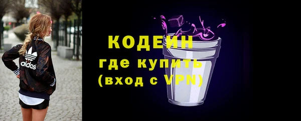молекула духа Козельск
