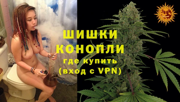 молекула духа Козельск