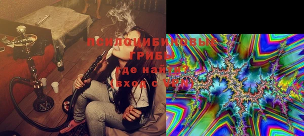 крисы Кодинск