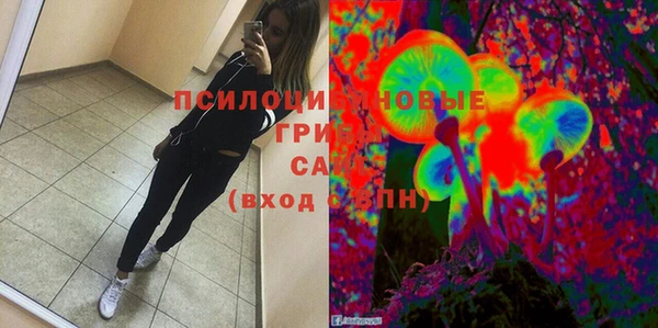 крисы Кодинск