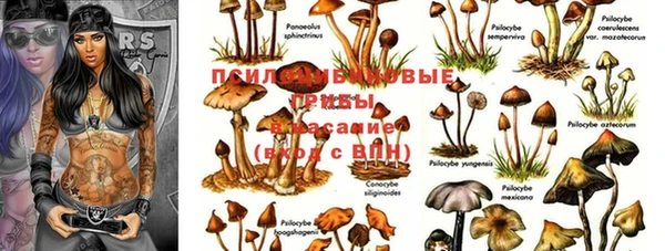 мяу мяу мука Козловка