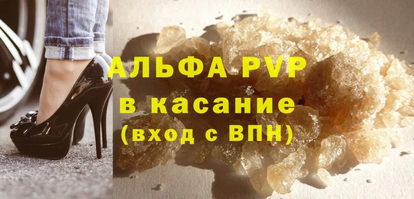 молекула духа Козельск