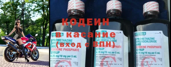 крисы Кодинск