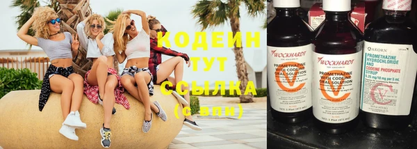 молекула духа Козельск