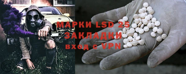крисы Кодинск