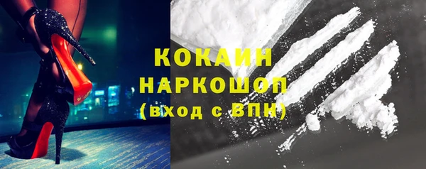 молекула духа Козельск