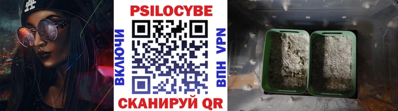 Купить где  Чкаловск  Галлюциногенные грибы Psilocybine cubensis 