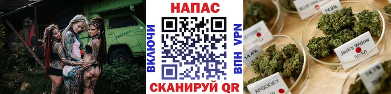 Каннабис марихуана  Купить закладки  Чкаловск 